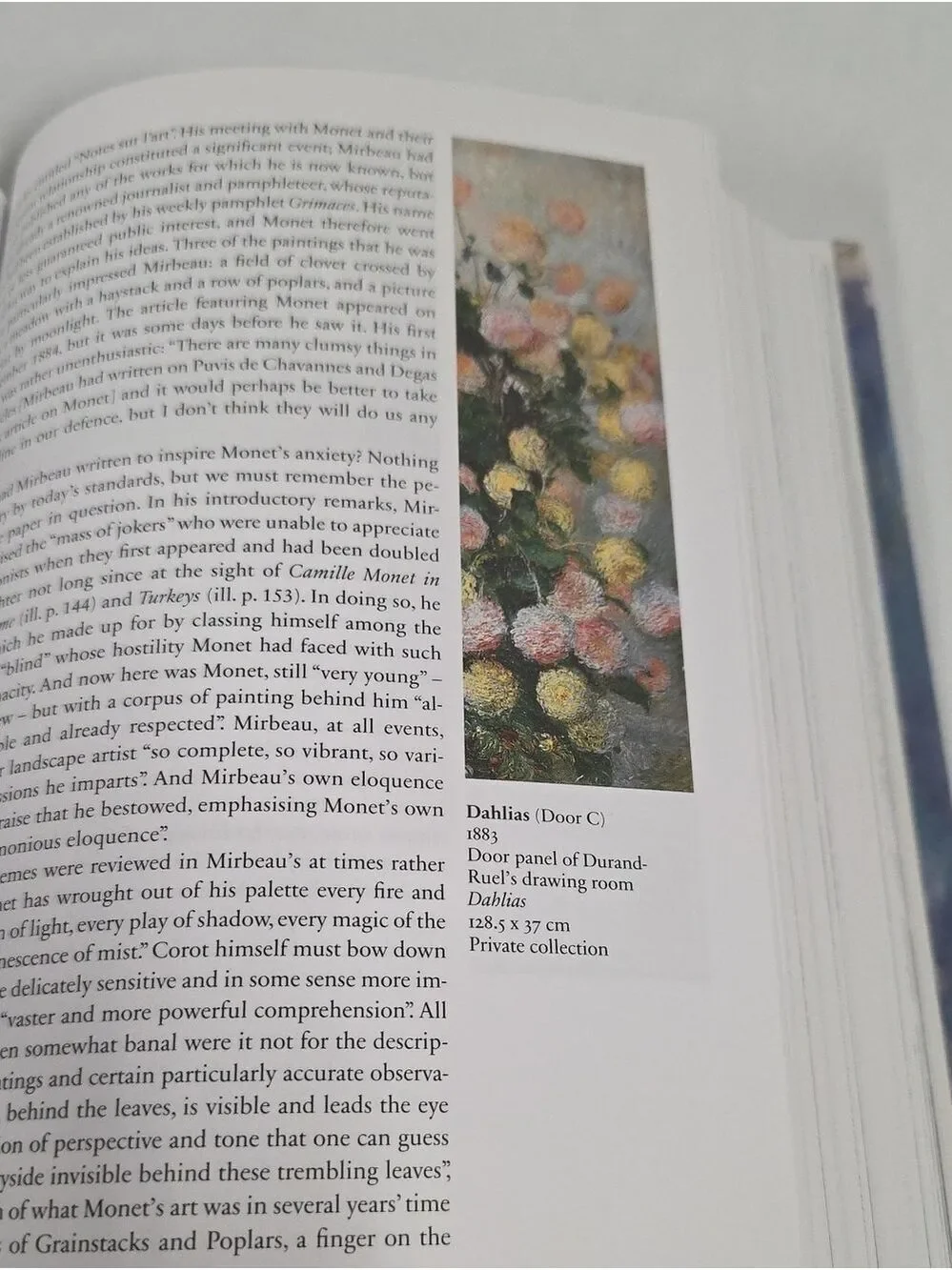 Monet - The Triumph Of Impressionism by Daniel Wildenstein